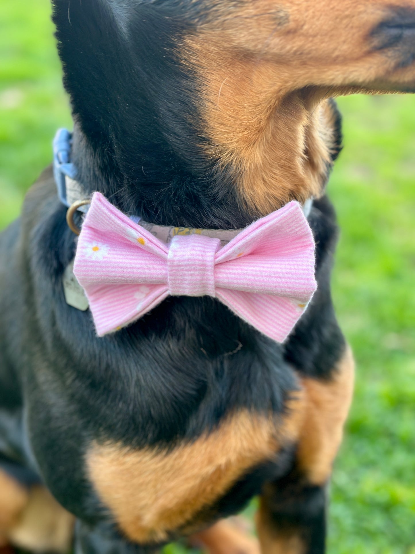 Daisy Daze Slip-on Bow Tie