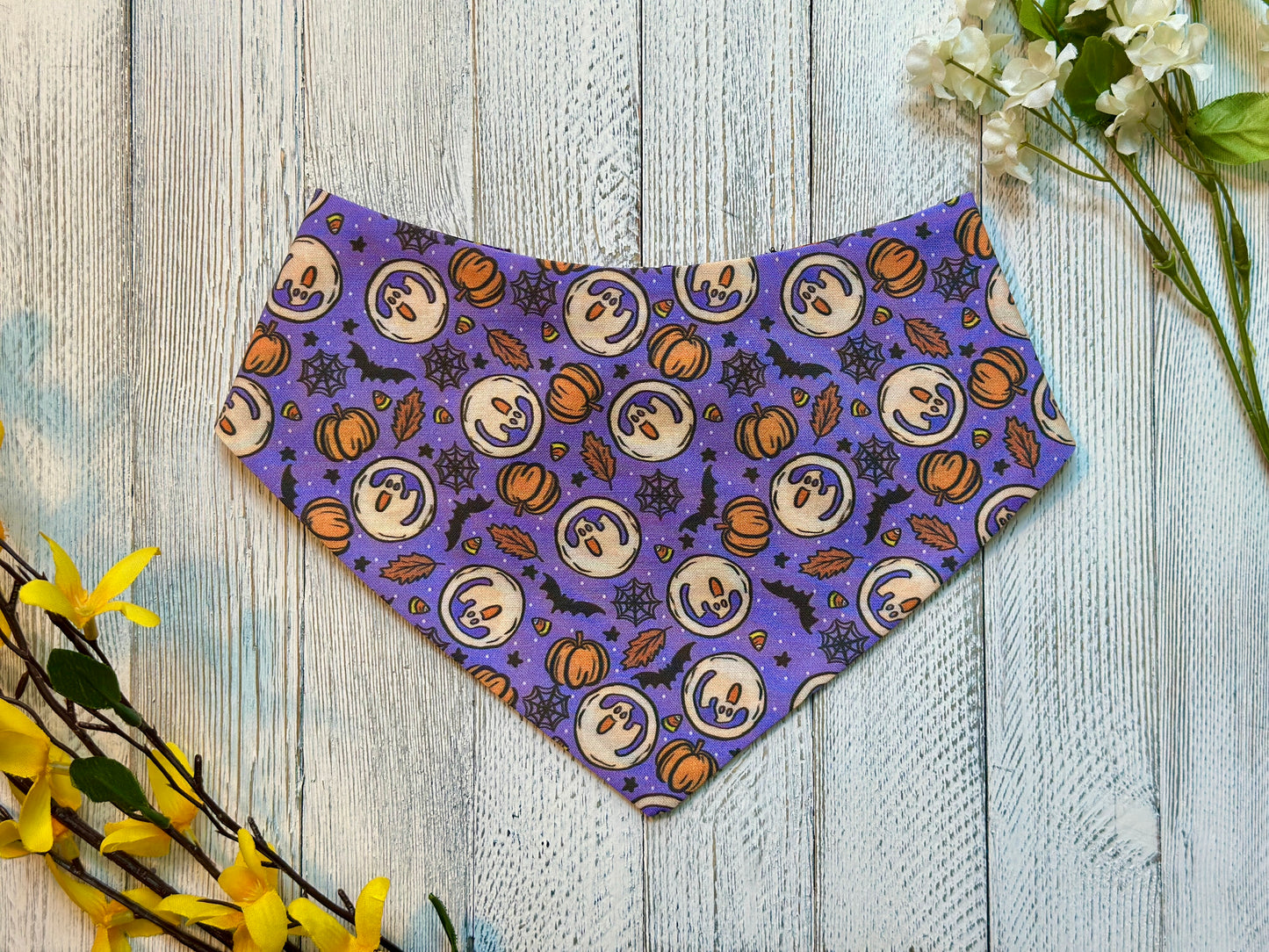 Ghostly Cookies- Reversible
