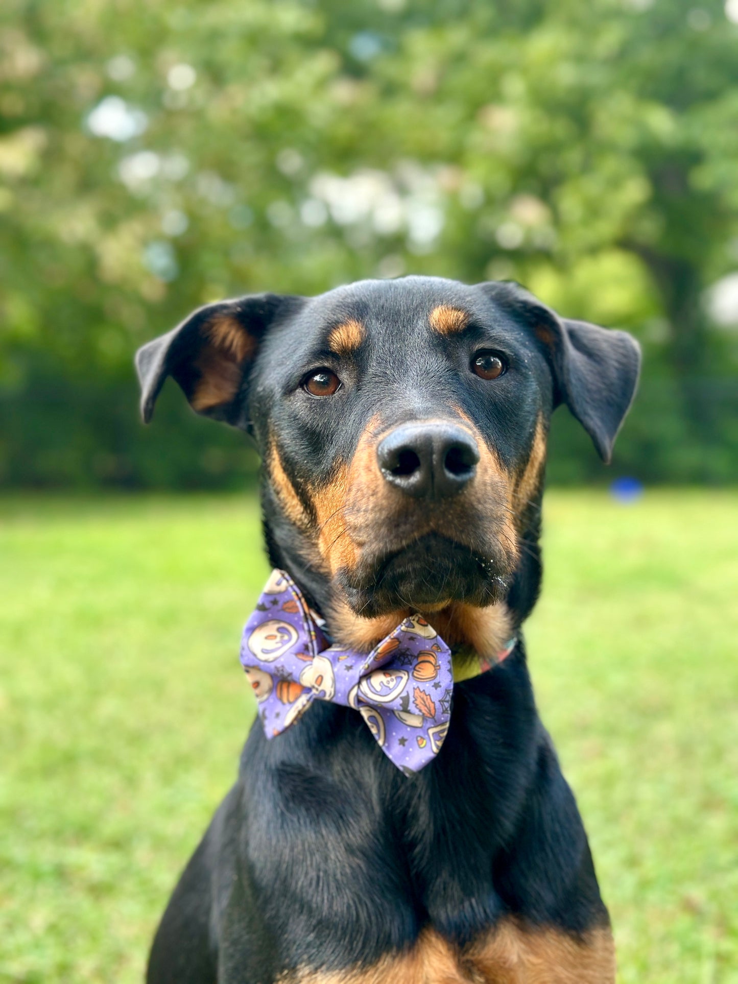 Ghostly Cookies Slip-on Bow Tie