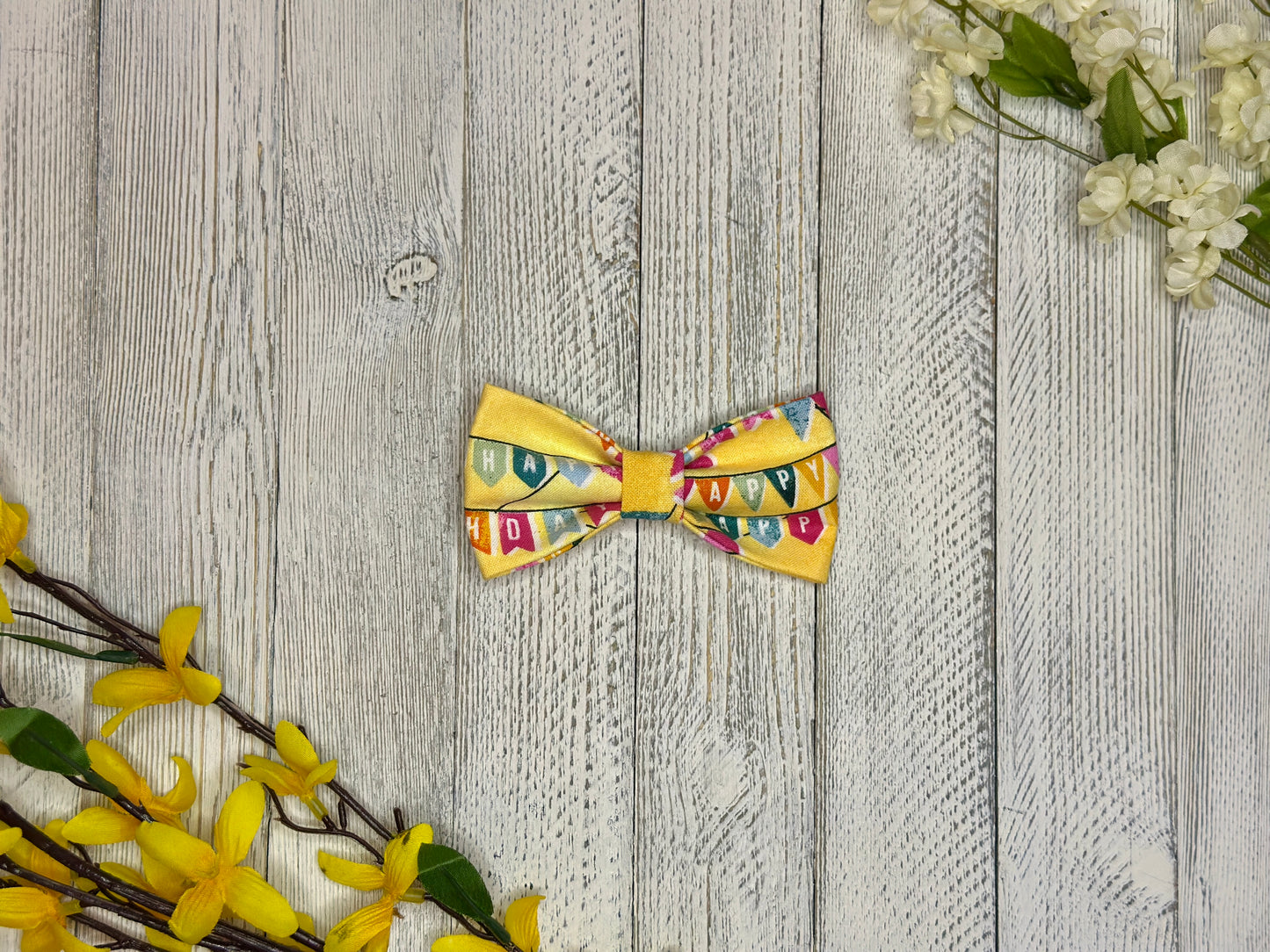 Paw-ty Time Slip-on Bow Tie