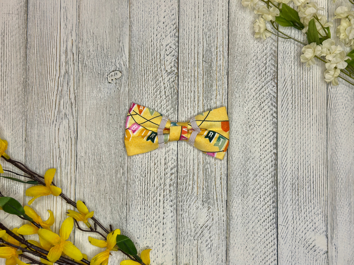 Paw-ty Time Slip-on Bow Tie