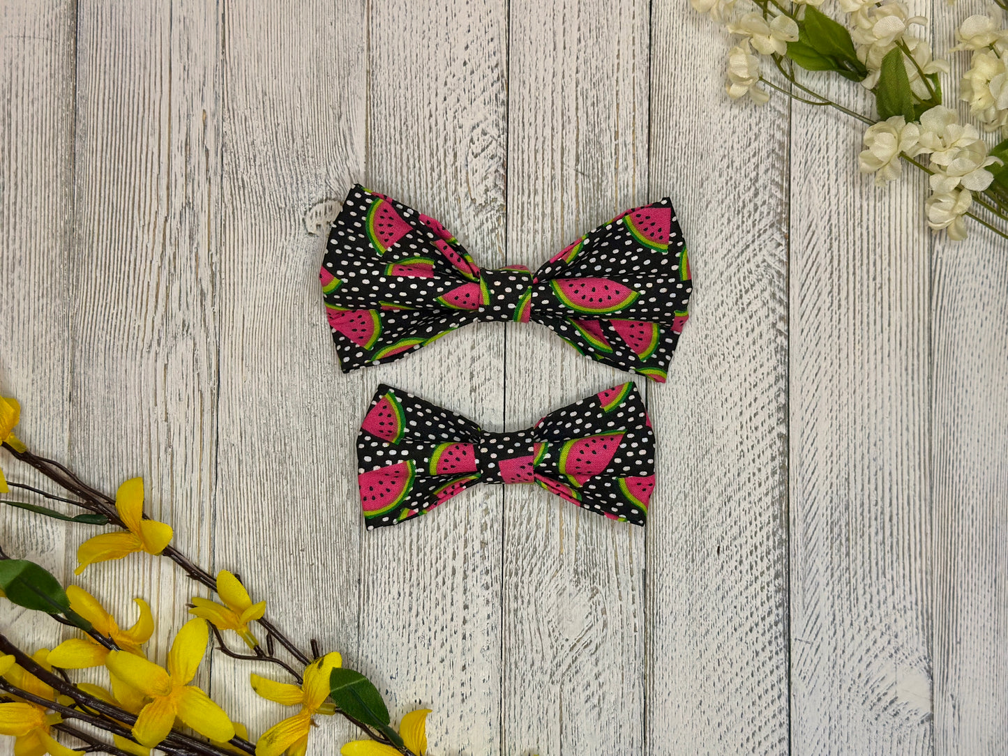 Juicy Watermelon Slip-on Bow Tie