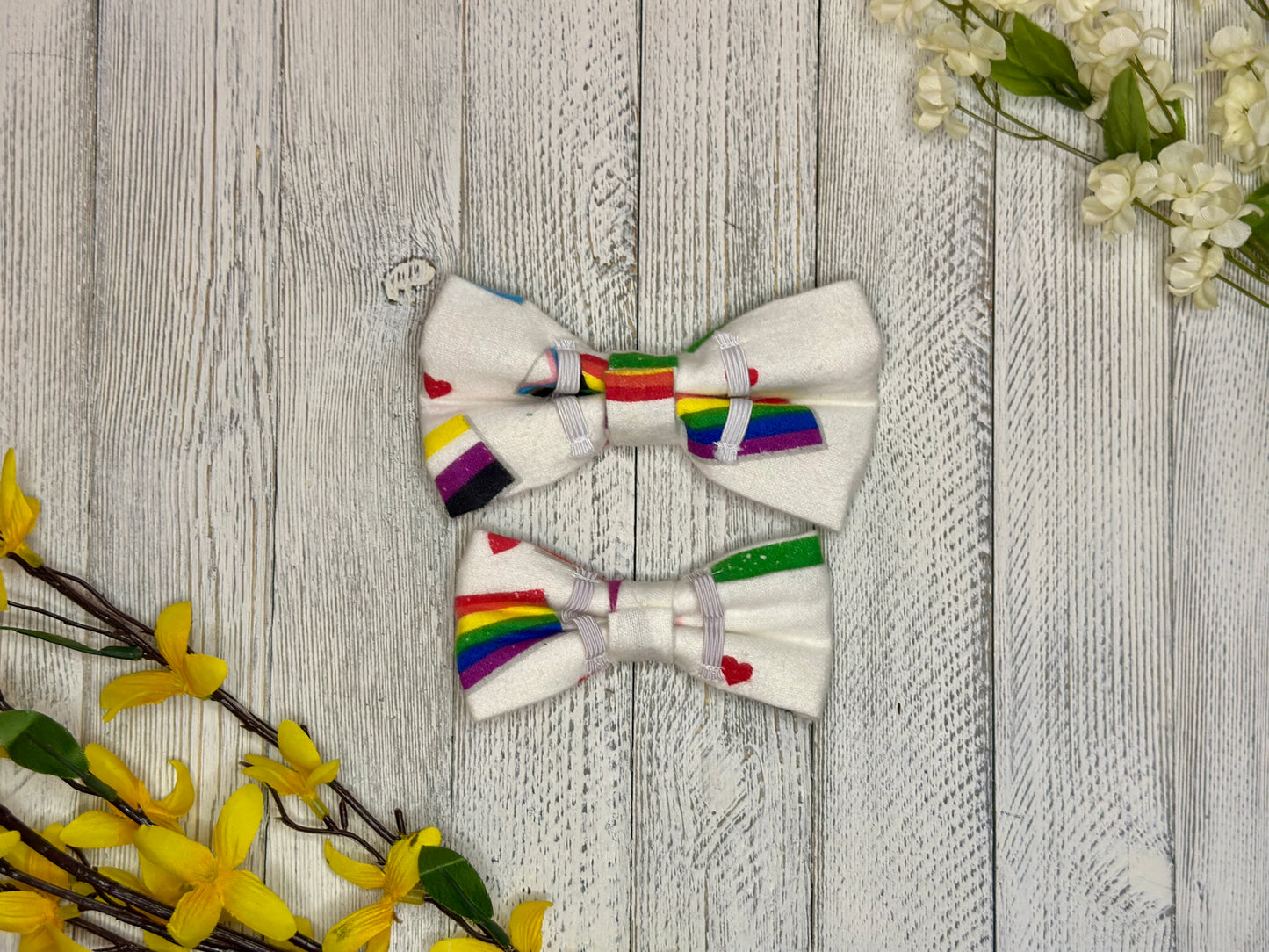 PRIDE Slip-on Bow Tie