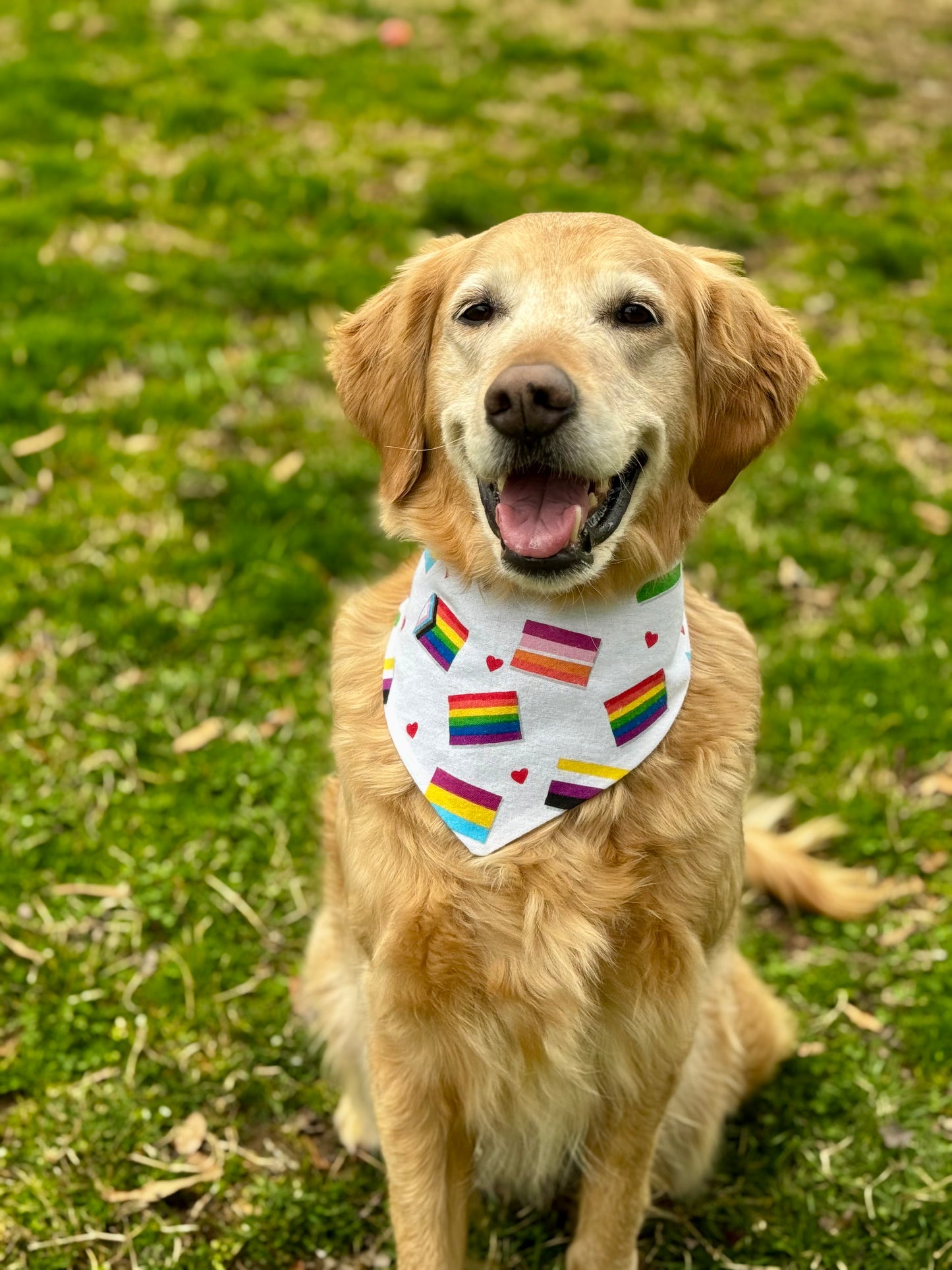PRIDE