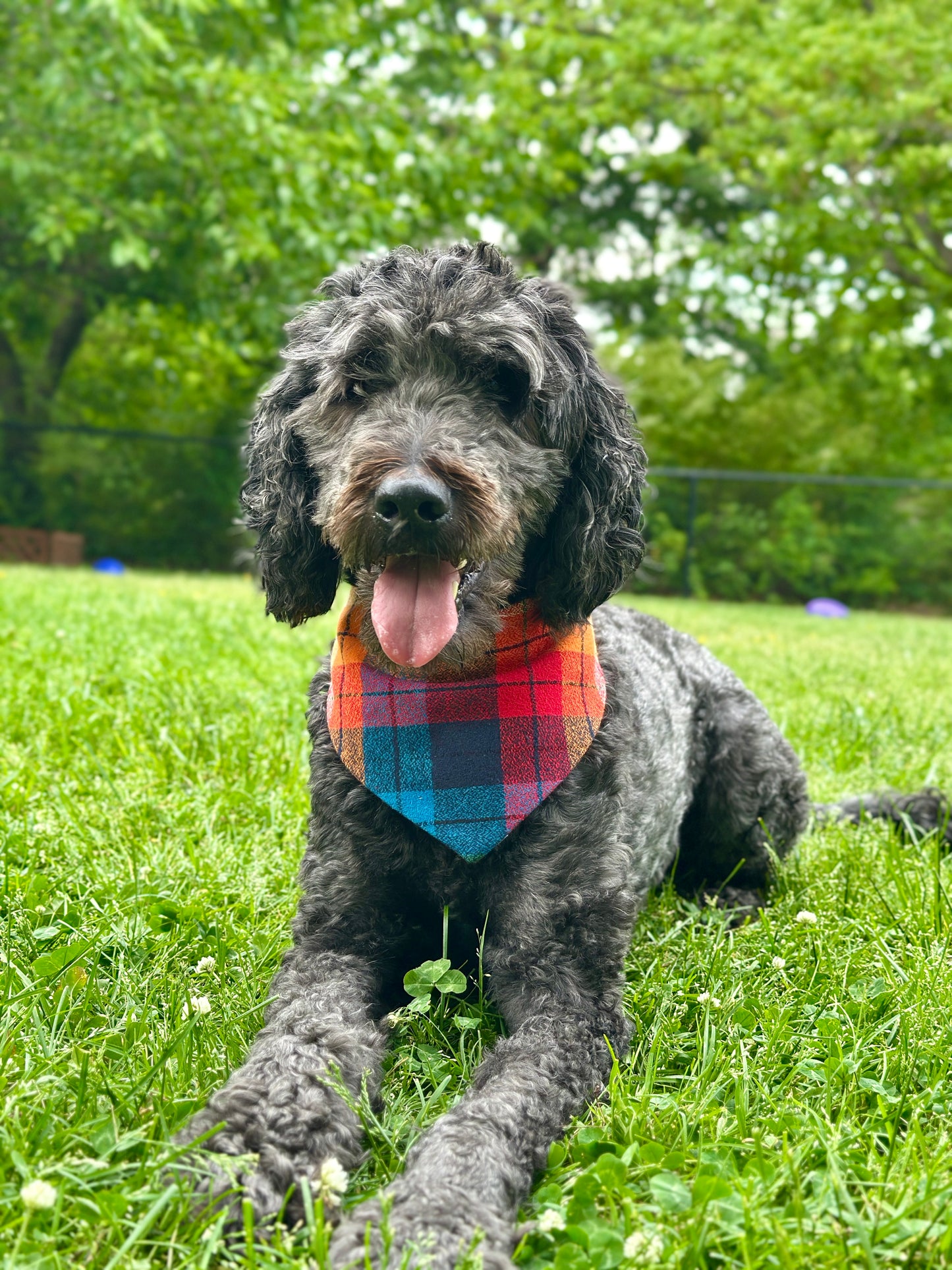 Rainbow Plaid