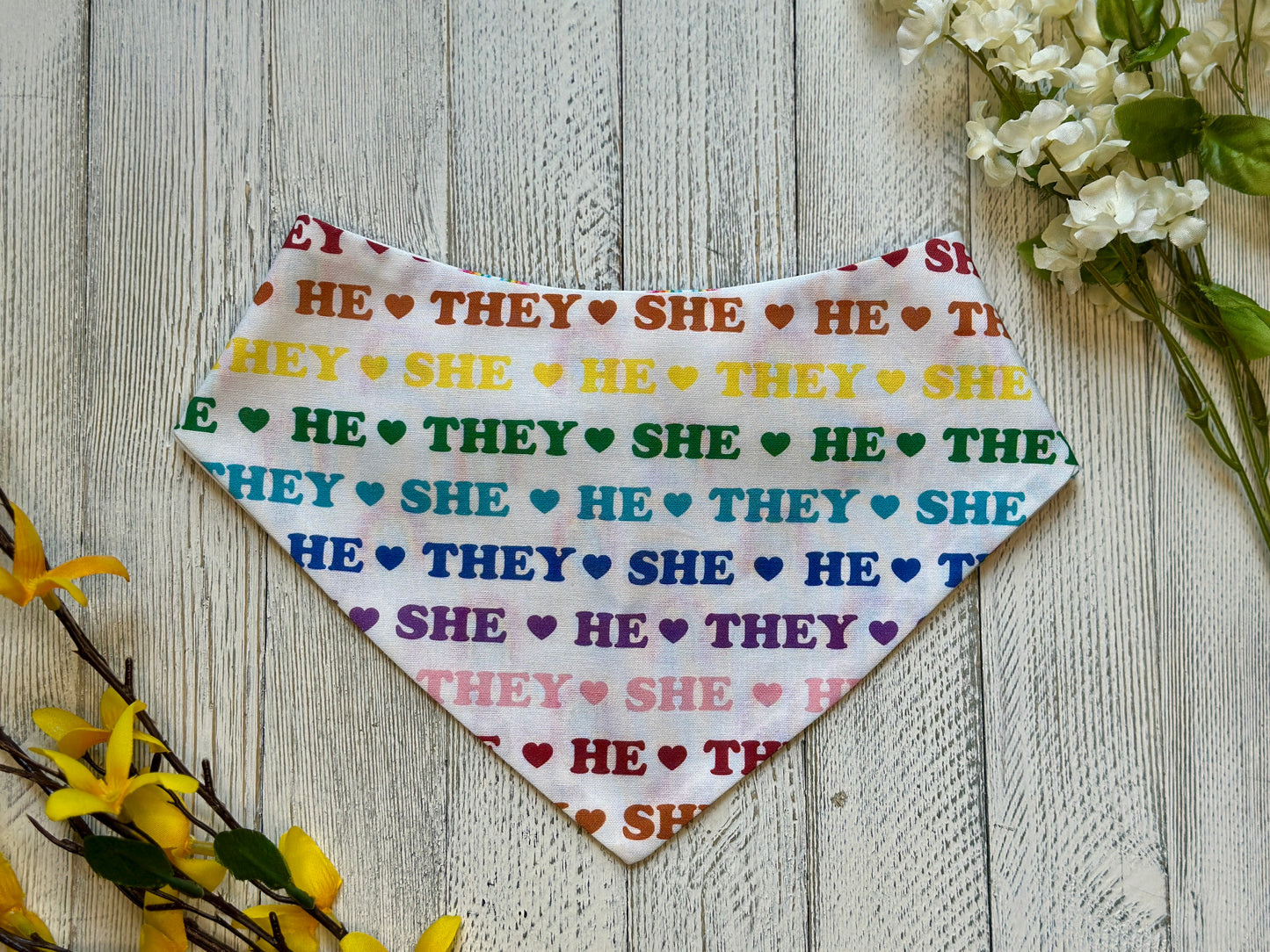 Pronouns Pride- Reversible