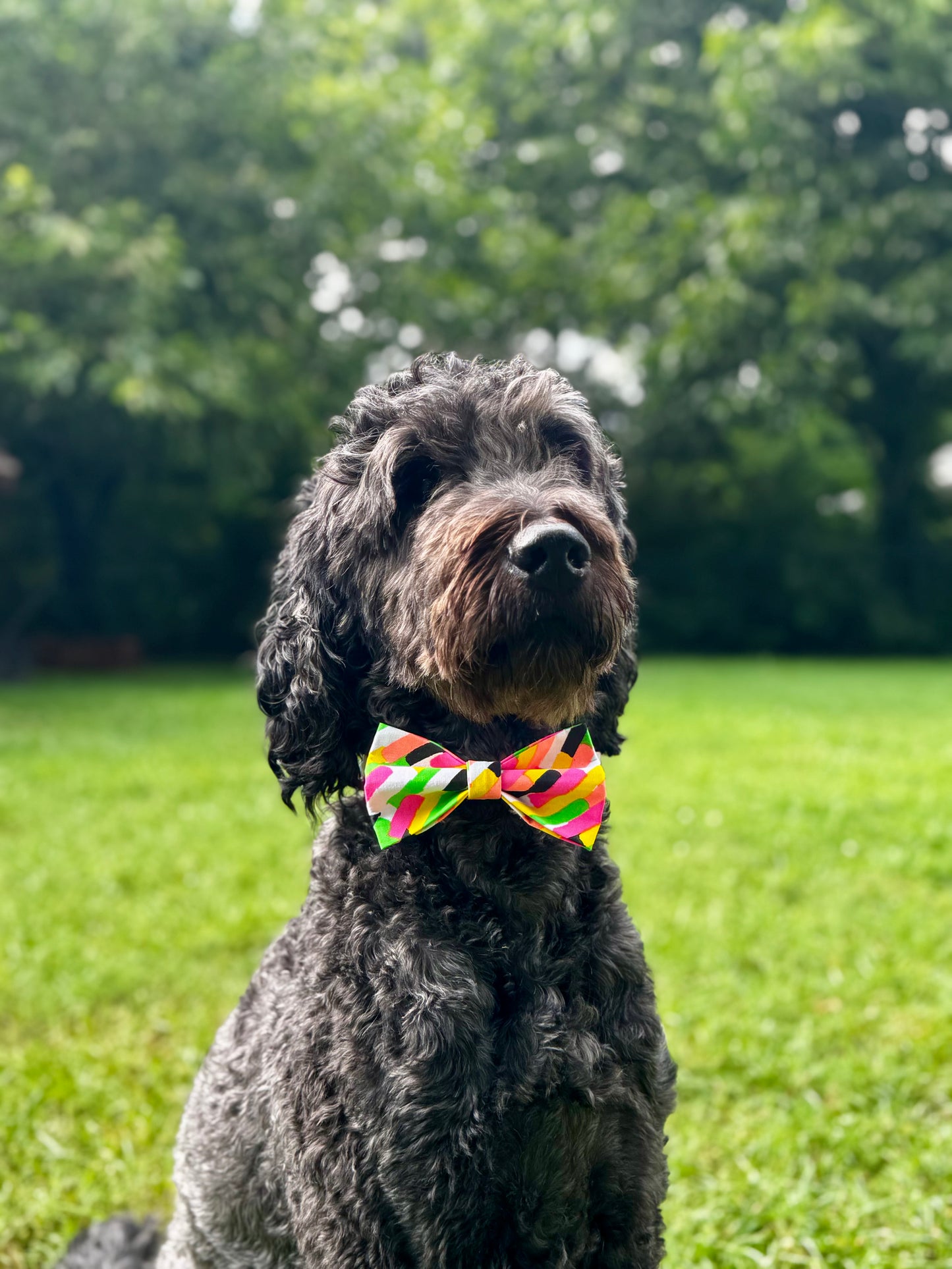 Neon Ice Striped Clip-on Bow Tie
