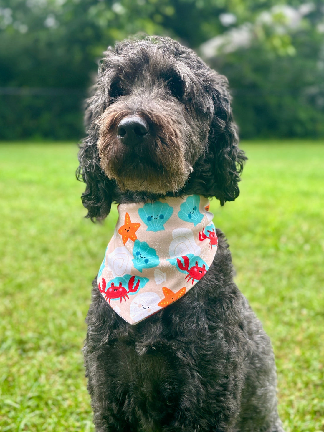The Ultimate Cooling Bandanas for a Hot Summer