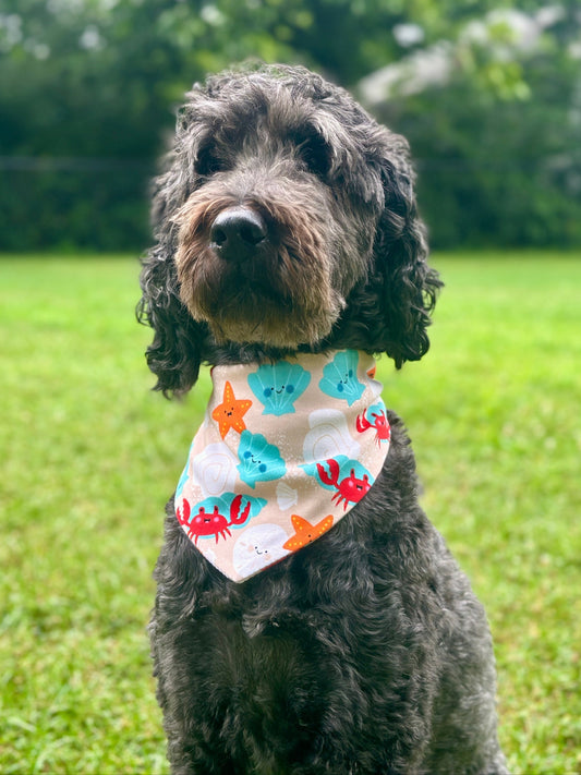 The Ultimate Cooling Bandanas for a Hot Summer