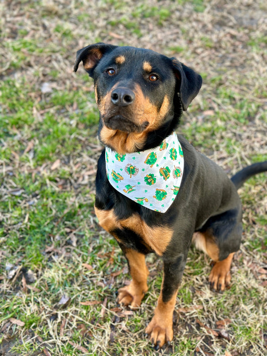 Get Lucky with These 5 Fun and Quirky Pet Bandana Styles