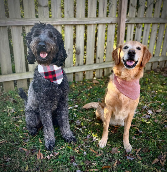 The Most Pawsome Dog Bandanas for Your Fashionable Furry Friend
