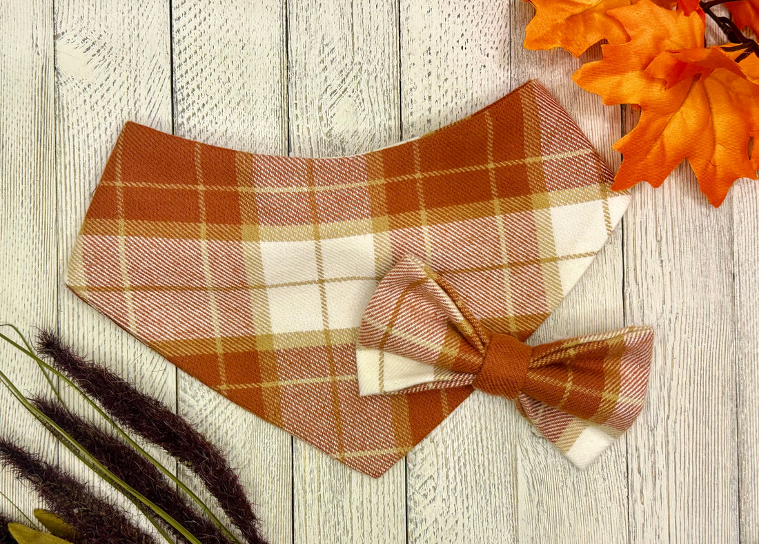 Pumpkin Spice and Everything Nice: The Best Dog Bandanas for Fall!
