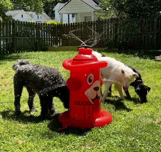 Three dogs playing in the water spiraling out of a blow up fire hydrant sprinkler.