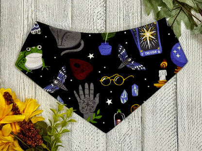 A pet bandana with a Halloween theme, featuring characters and elements like a frog, stars, and glasses on a black background, displayed on a wooden surface with leaves and flowers around it.