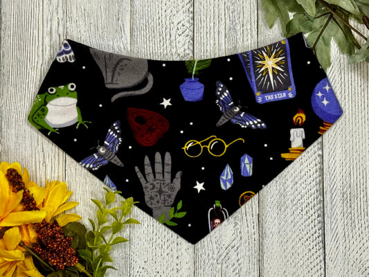 A pet bandana with a Halloween theme, featuring characters and elements like a frog, stars, and glasses on a black background, displayed on a wooden surface with leaves and flowers around it.