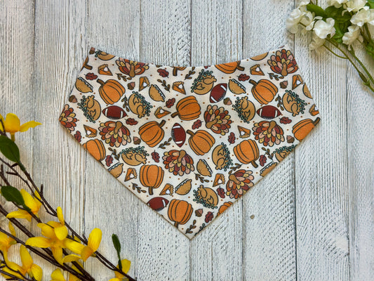 Turkey Day Vibes- Reversible