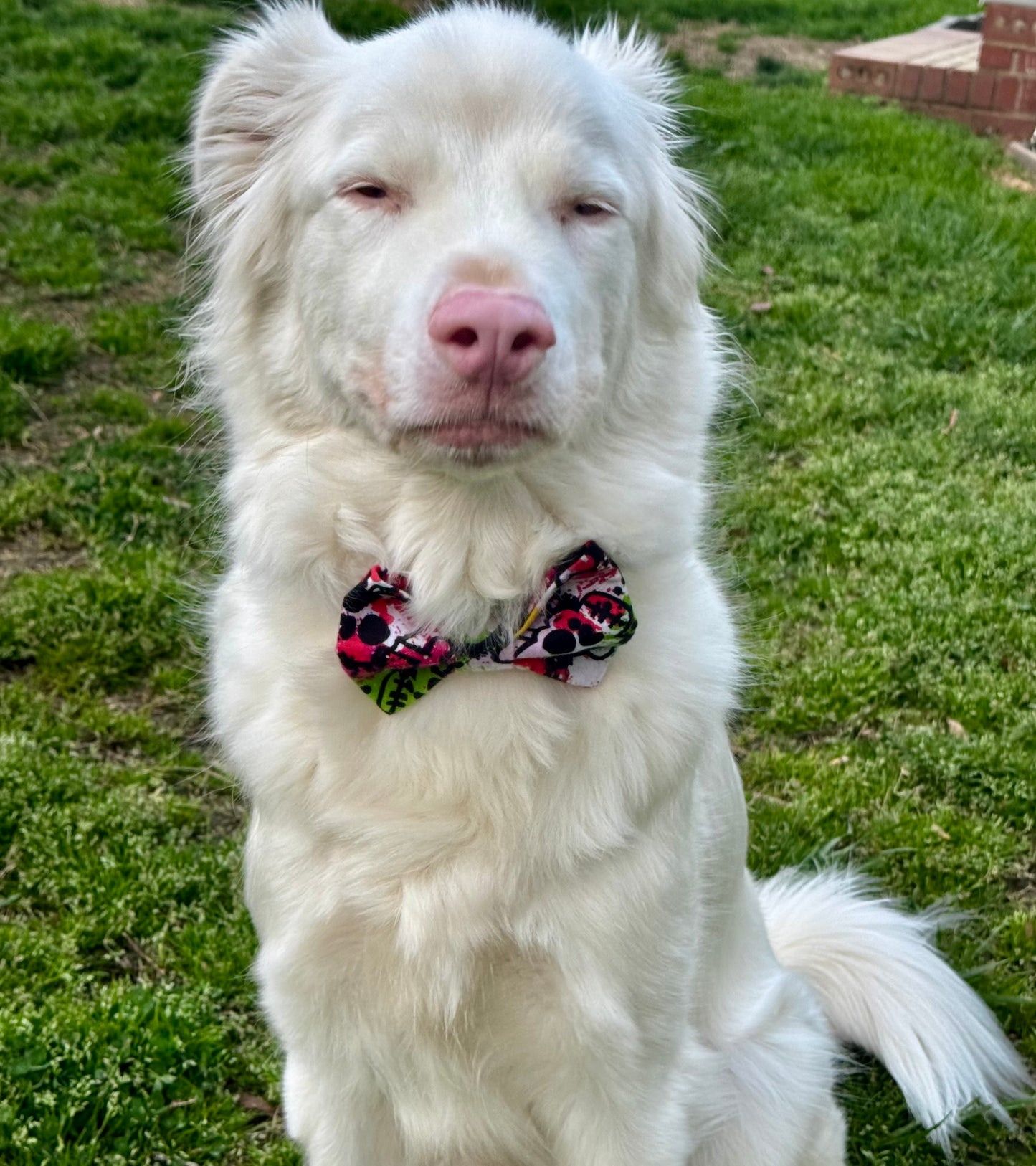 Tie Dye Skulls Slip-on Bow Tie