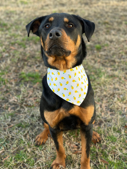 Lemon and Orange- Reversible