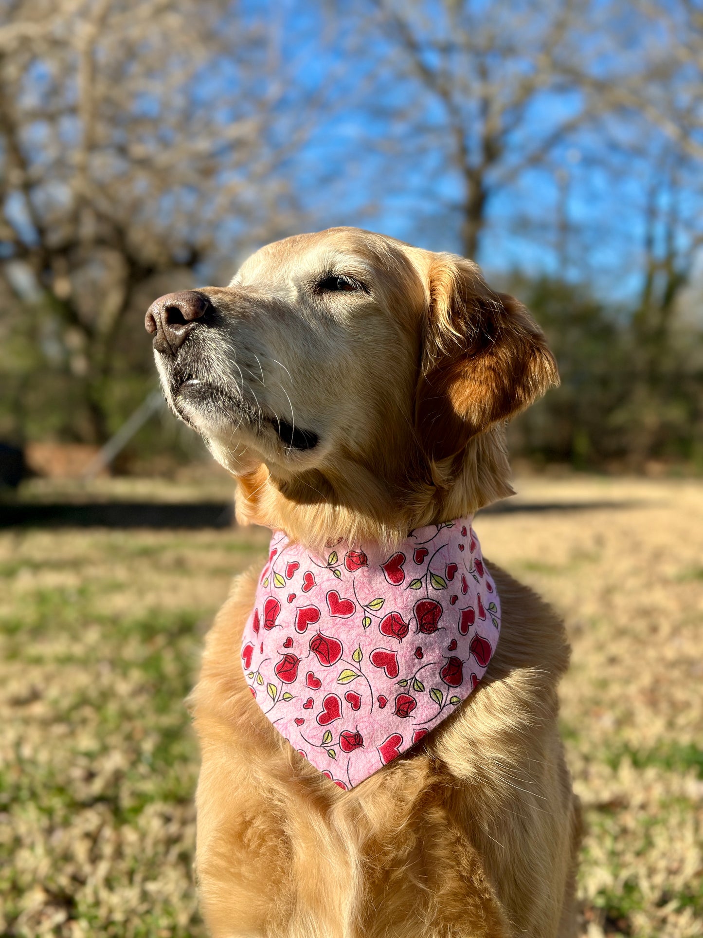 Hearts and Roses