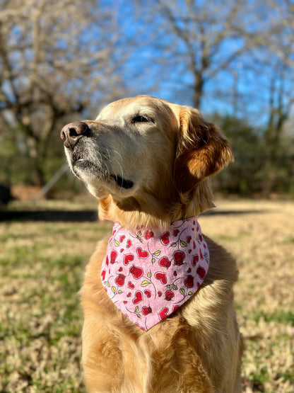 Hearts and Roses