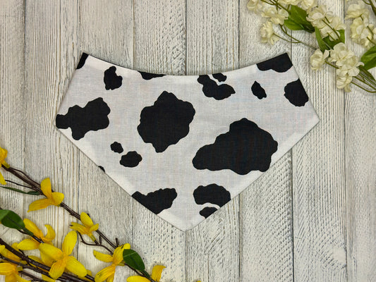 Cattle & Cotton