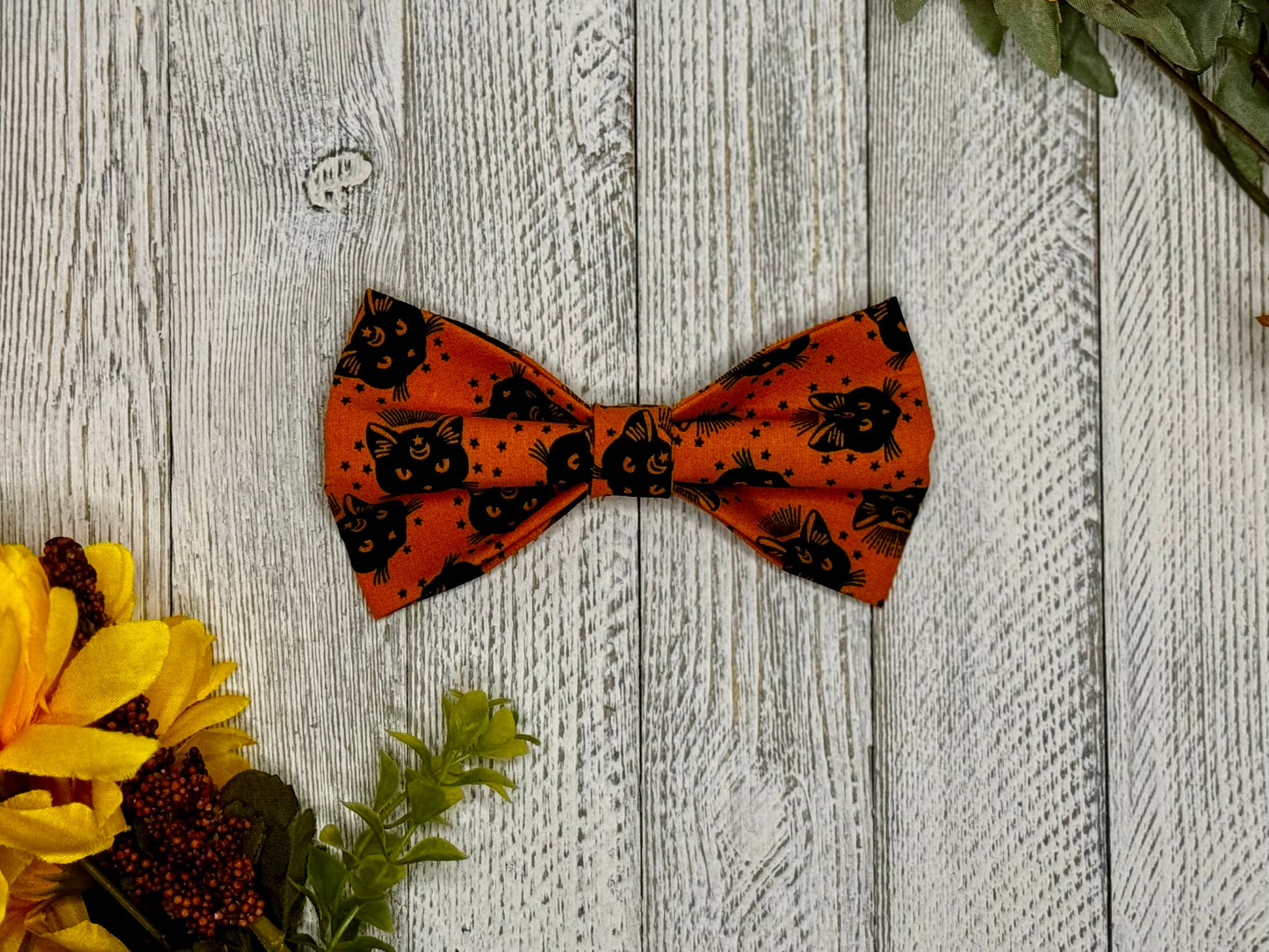 Feline Spells Slip-on Bow Tie