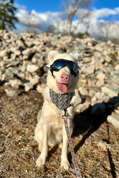 Doggy Armor