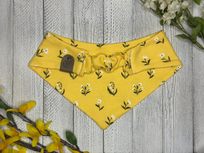 Yellow Daisy