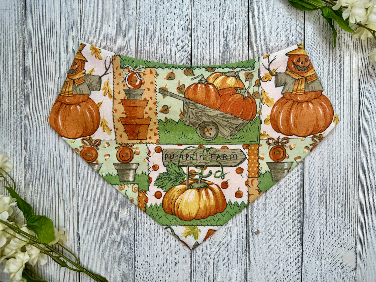 Pumpkin Farm