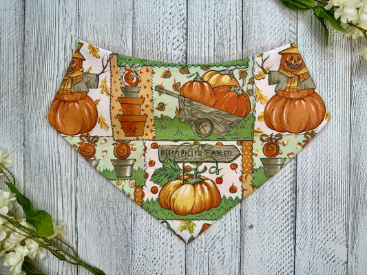 Pumpkin Farm