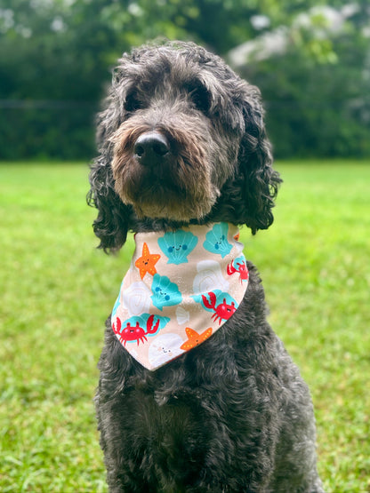 Dog wearing a colorful bandana in a grassy field with trees in the background