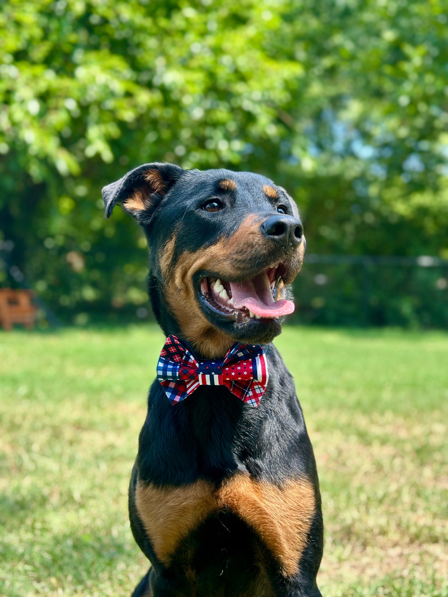 Parade Patchwork Bow Tie
