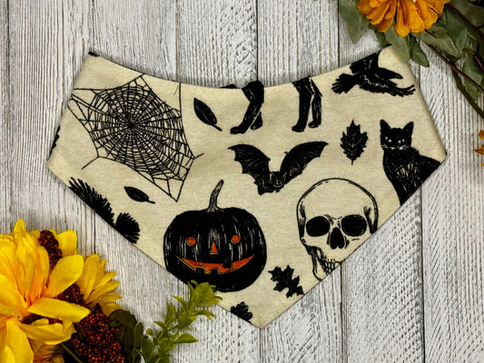 A pet bandana with a Halloween theme displayed on a wooden surface surrounded by fall flowers, featuring black cats, bats, spider webs, pumpkins, and skulls on a tan background.