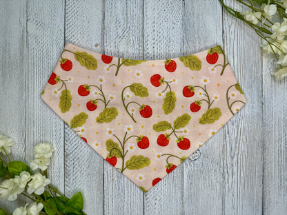 Summer Berries