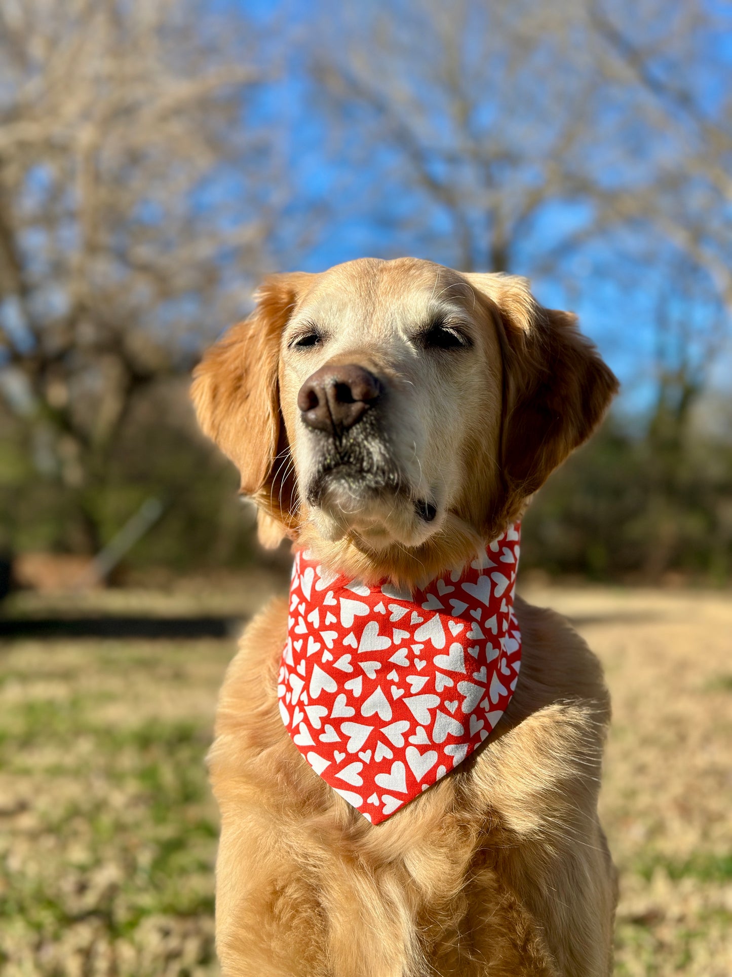 Heart Throb