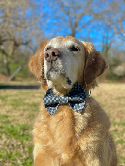 Midnight Checkered Slip-on Bow Tie