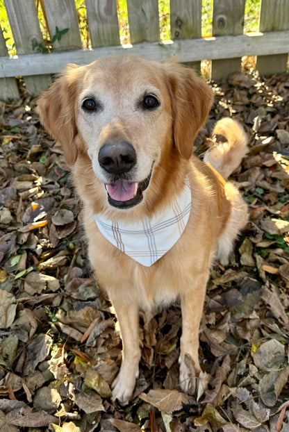Sweater Weather