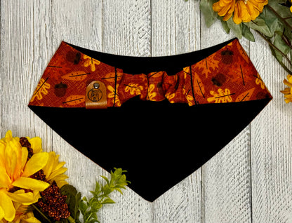 Autumn Wonders