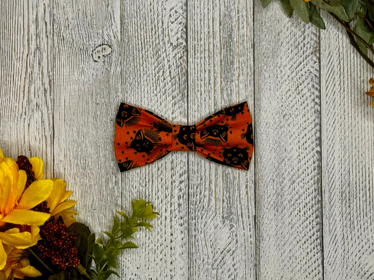 Feline Spells Slip-on Bow Tie