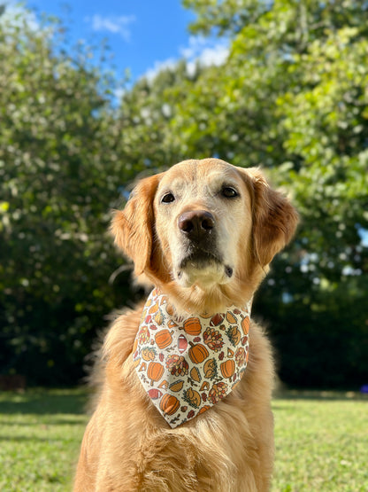 Turkey Day Vibes- Reversible