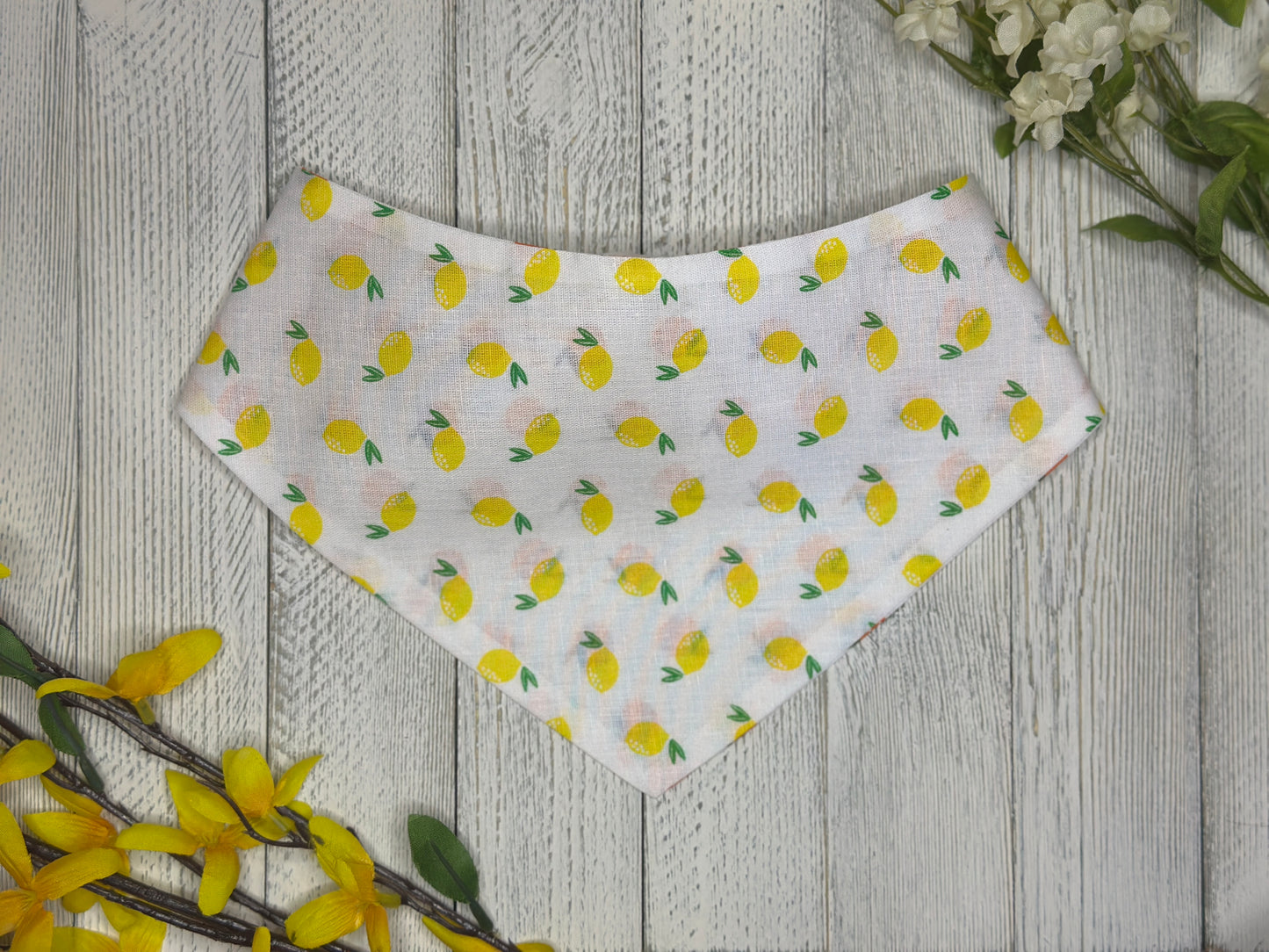 Lemon and Orange- Reversible