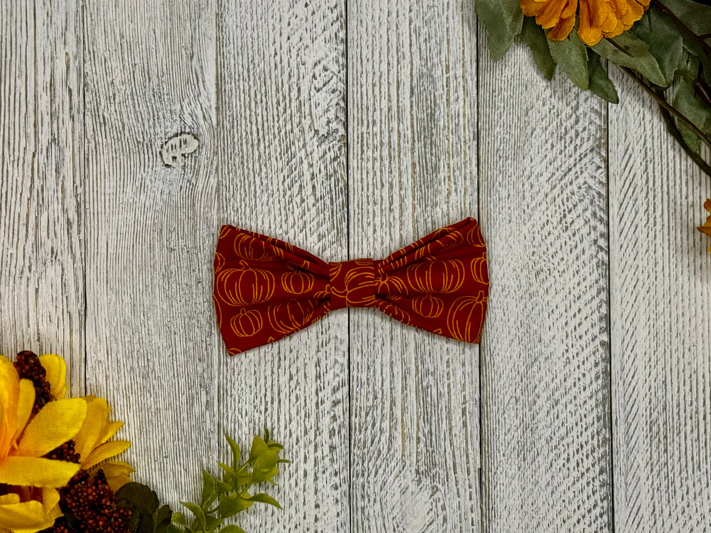 Pumpkin Patch Slip-on Bow Tie