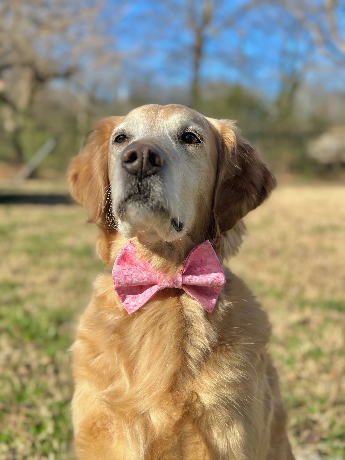 Rosevine Slip-on Bow Tie