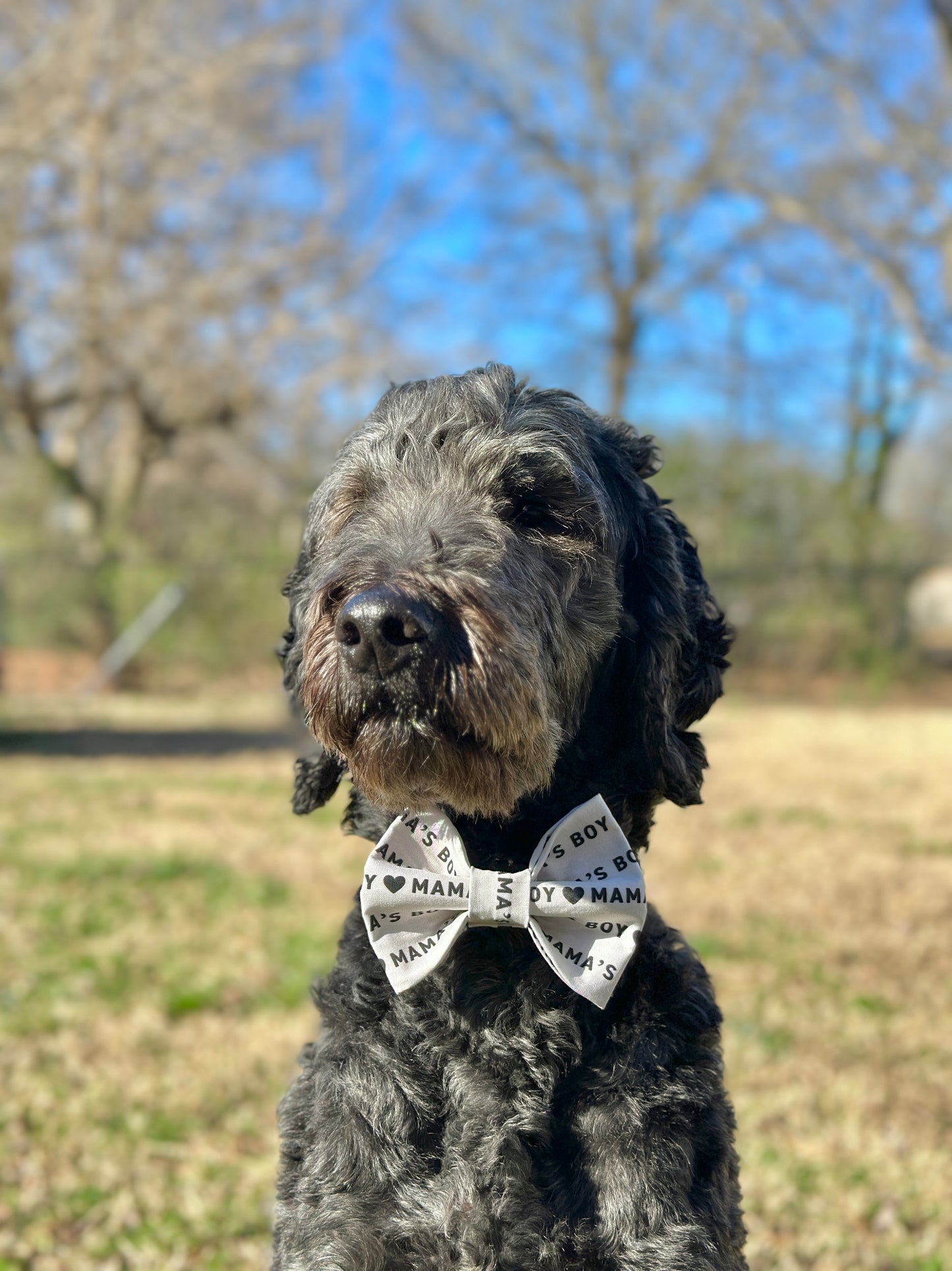 Mama's Boy Slip-on Bow Tie