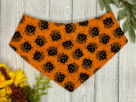 An orange bandana with black cats design, displayed on a wooden surface with autumn leaves around it.