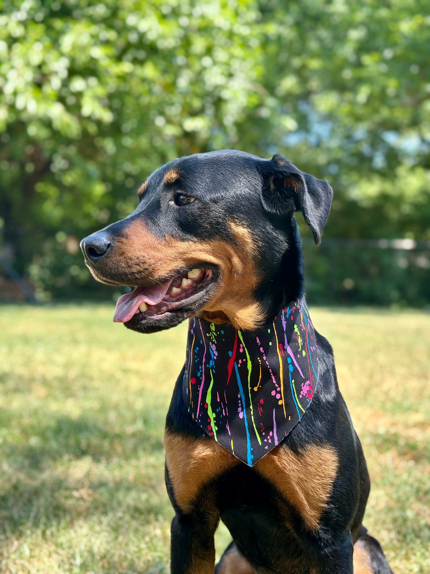 Colors of the Rainbow