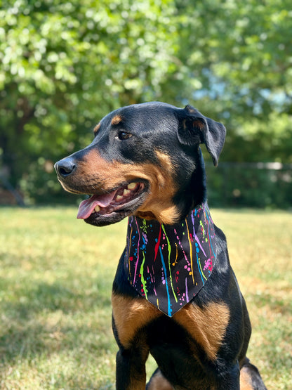 Colors of the Rainbow