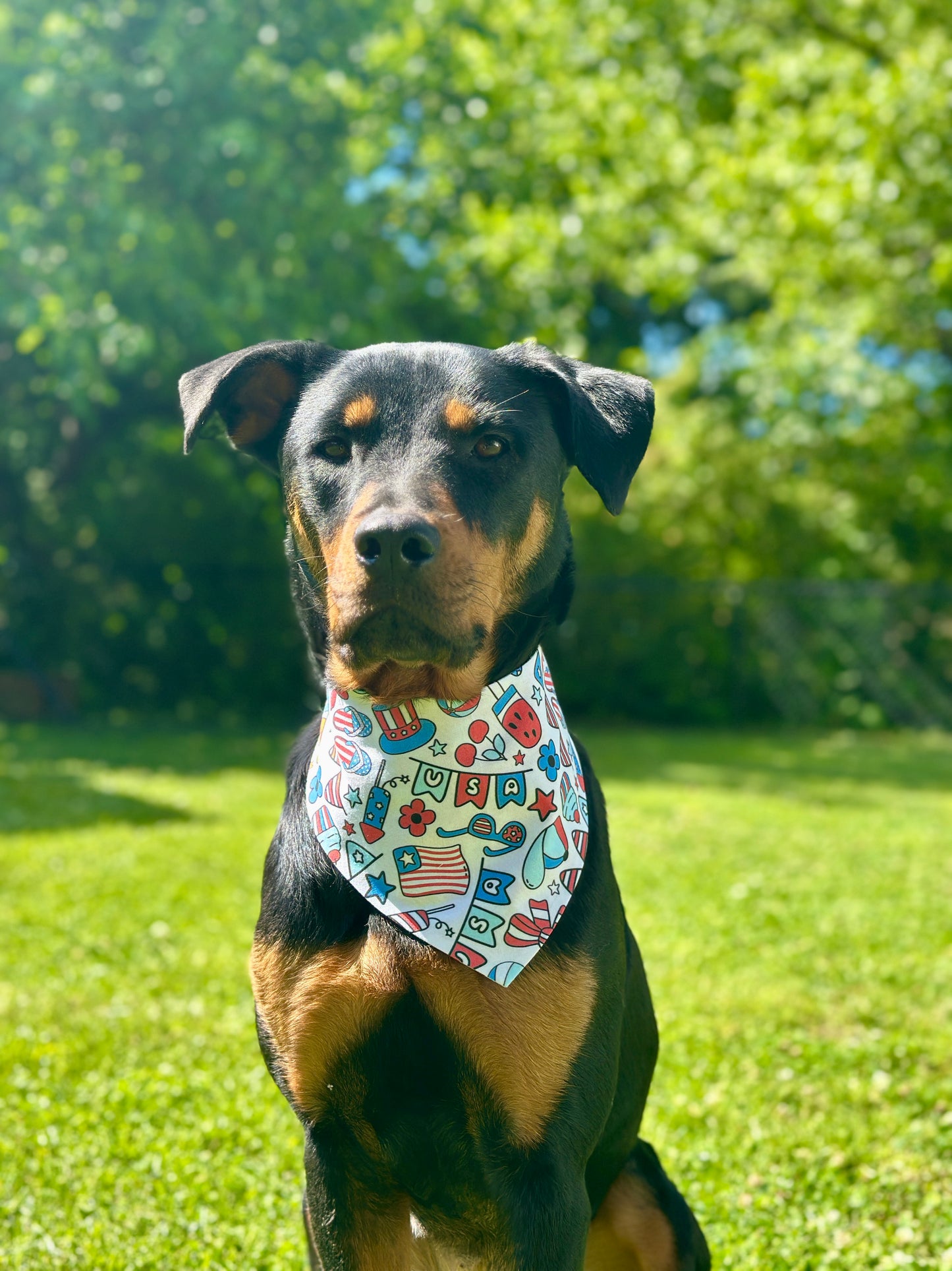 Dog wearing a USA bandana in a grassy outdoor setting