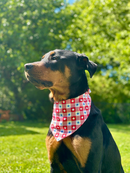 Dog wearing a checkered bandana in a park setting