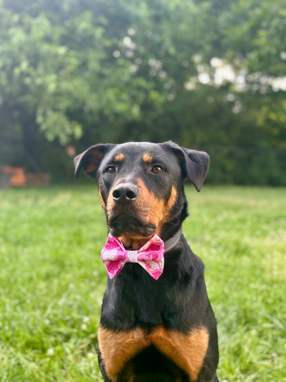 Dog wearing a pink animal cracker bow tie sitting on grass with trees in the background